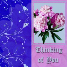 GIFT TAG Thinking of You